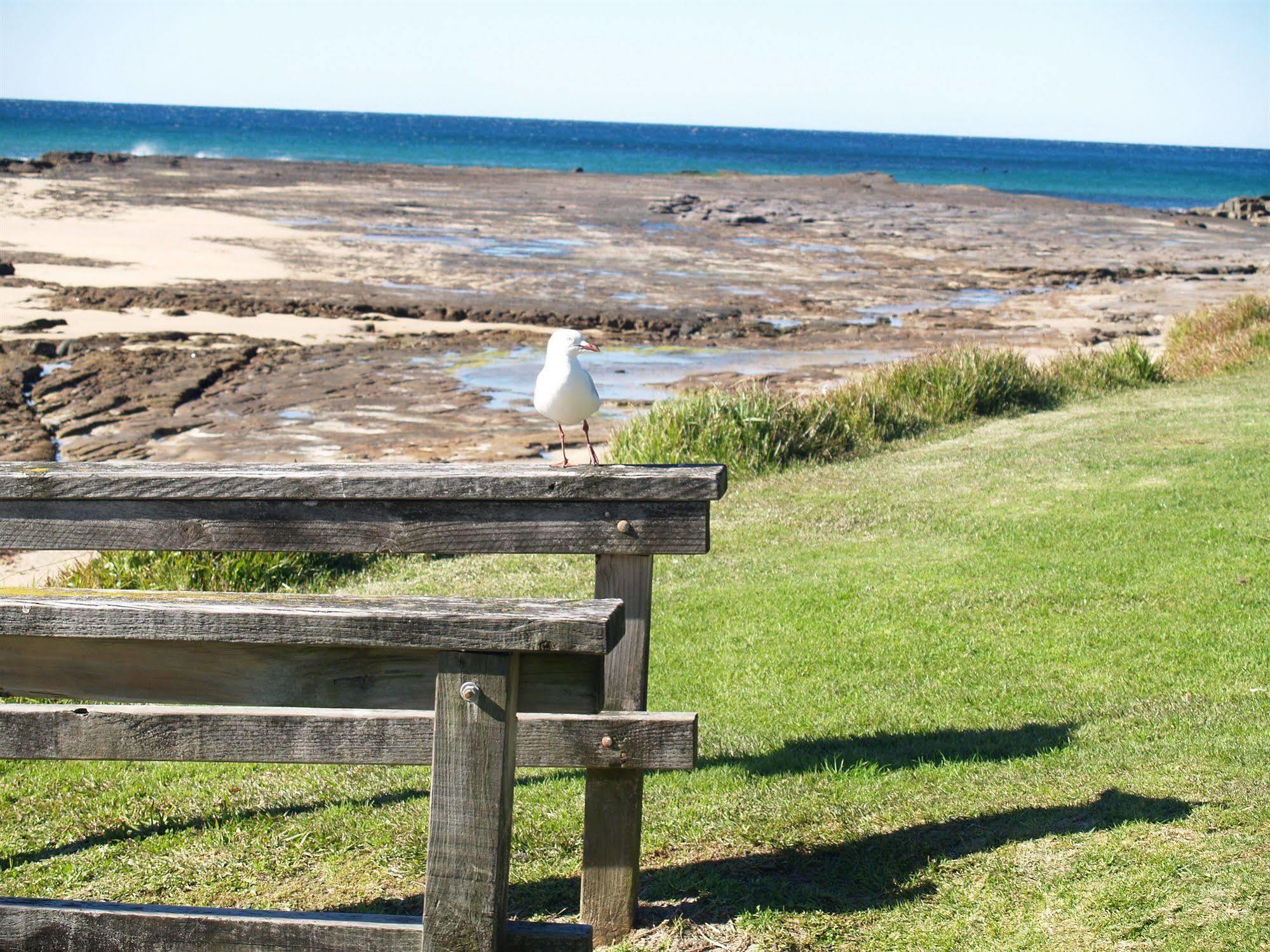 Pigeon House Motor Inn Ulladulla Exteriör bild